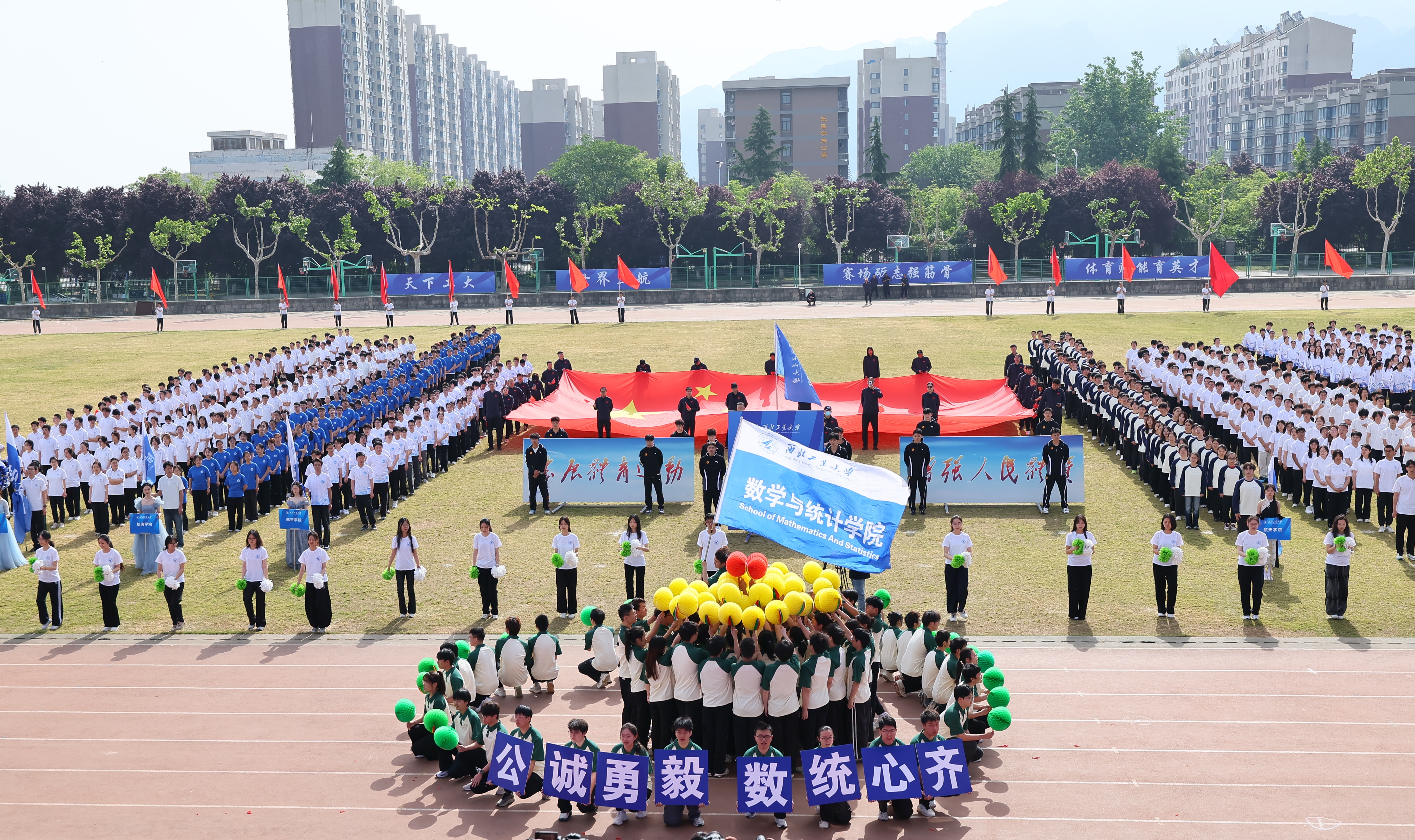 11.数统-LUDI8484.JPG