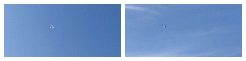 图8.jpg