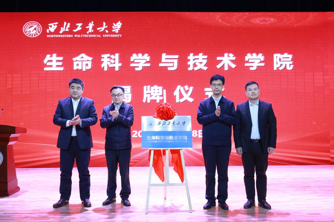 图片12揭牌png.png