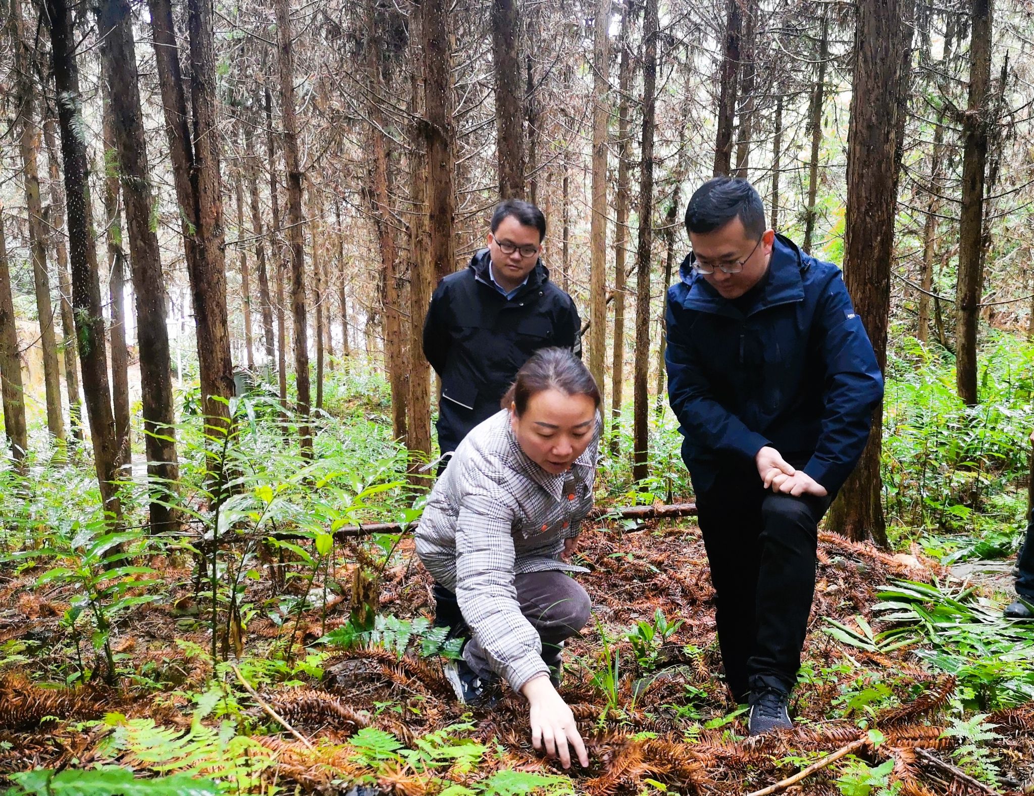 玩球平台挂职干部管兴华(右一).jpg